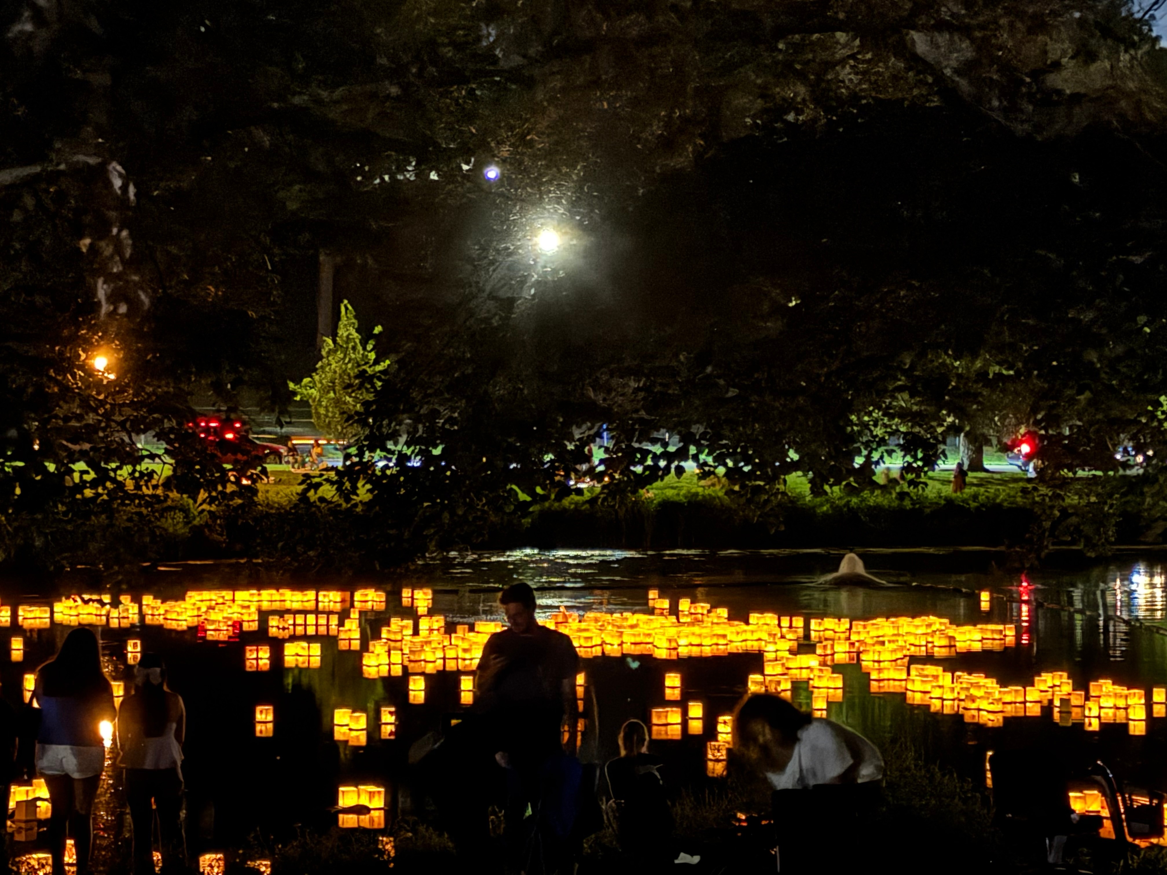Amy Harris  - Water Lantern Festival